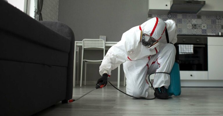 A pest removal worker spraying a home