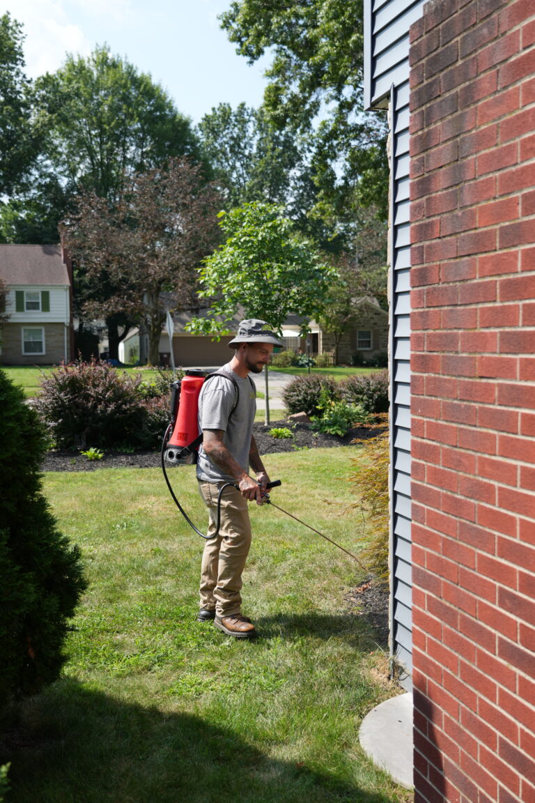 Pest Control Franchise