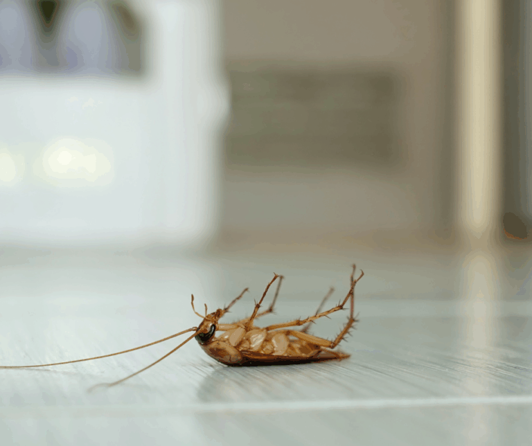 Recession-proof business