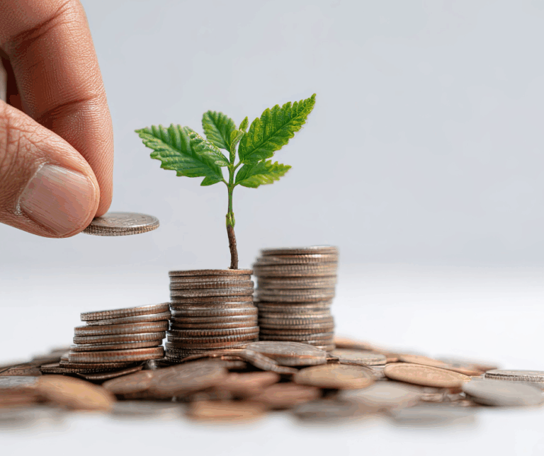 how to review a franchise disclosure document